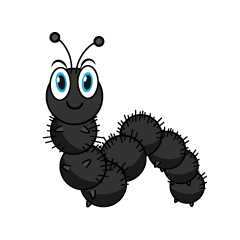 Black Fur Caterpillar