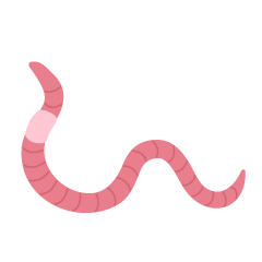 Pink Earthworm