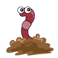 Soil Worm