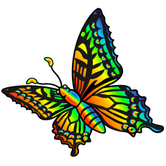 Flying Rainbow Butterfly
