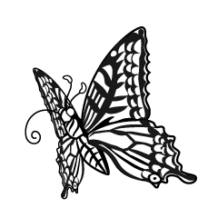 Sucking Swallowtail Butterfly