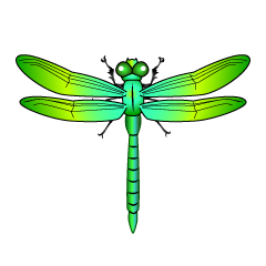 Yellow Green Dragonfly