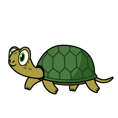 Walking Turtle