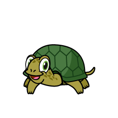 Smiling Turtle
