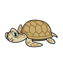 Tired Sea Turtle