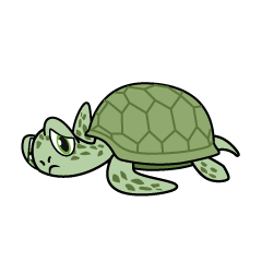 Tired Green Sea Turtle