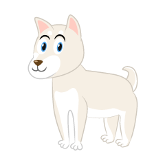 Shiba White Dog