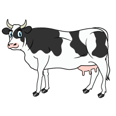 Looking Cow