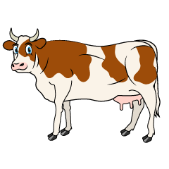 Looking Brown Cow