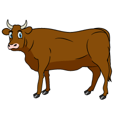 Looking Brown Cattle