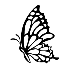 Butterfly Side