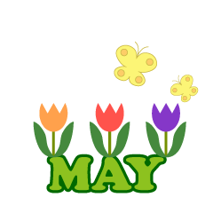 Tulips May
