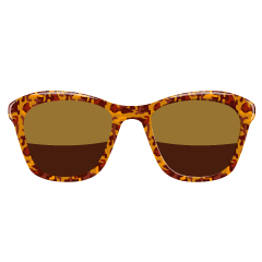Tortoise Shell Sunglasses
