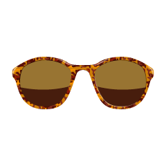 Thin Tortoise Shell Sunglasses
