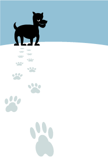 Tarjeta gráfica Dog's Snow Footprints