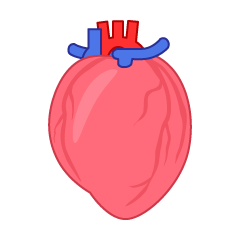 Simple Arterial-Venous Heart