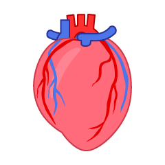 Arterial-Venous Heart
