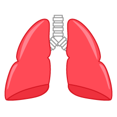 Inflamed Lung