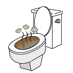Dirty Toilet Bowl