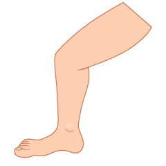Male Leg