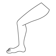 Female Leg