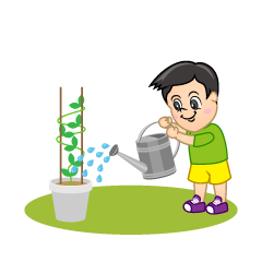 Boy Watering Vegetable