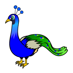 Closed Peacock