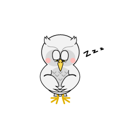 Sleeping White Owl