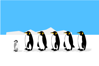 Marching Antarctic penguins Graphics