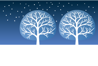Two trees in the snow falling night sky