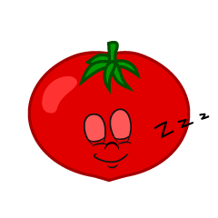 Sleeping Tomato