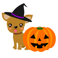 Chihuahua dog Halloween pumpkin