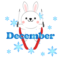Skying Rabbit December