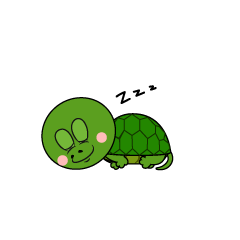 Tortuga durmiendo