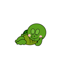 Dozing Turtle