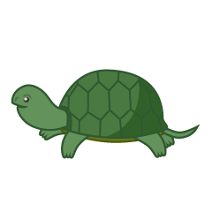 Cute Green Tortoise