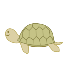 Linda tortuga marina
