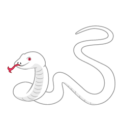 Winding White Snake