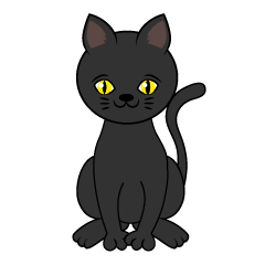 Lindo gato negro