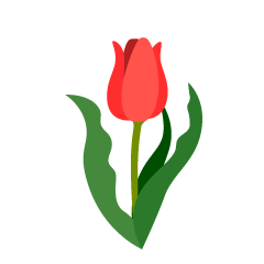 Red Tulip