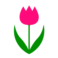 Simple Pink Tulip