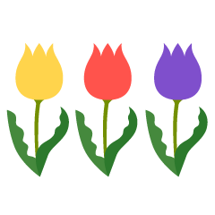 Three Tulip Flowers
