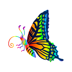 Rainbow Colorful Butterfly with Side