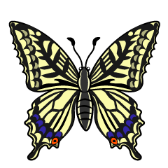 Mariposa cola de golondrina