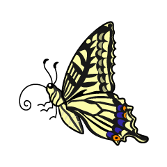 Mariposa blanca