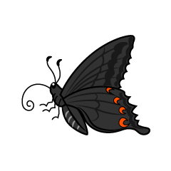 Mariposa cola de golondrina amarilla con lateral