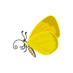 Yellow Butterfly with Side