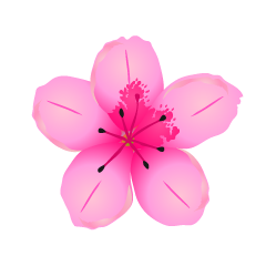 Azalea Flower
