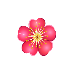 Plum Flower