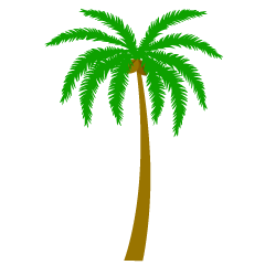  One Palm Tree